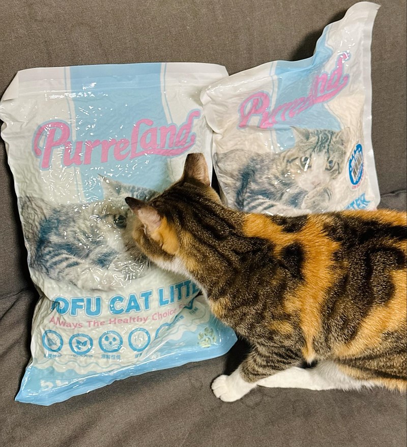 女人知己試用大隊,口碑行銷,部落客行銷,PurreLand 倍淨豆腐貓砂,好市多購買,COSTCO購買,豆腐貓砂,PurreLand倍淨,低粉塵,易清理,可沖馬桶,提供絕佳的除臭與凝結力,豆腐貓砂評價,貓砂評價,使用心得,貓砂分享,好用,原味,綠茶,豆腐砂,水量需完全覆蓋貓砂,水量需貓砂的2~3倍以上,豆腐砂評價,高CP值,划算